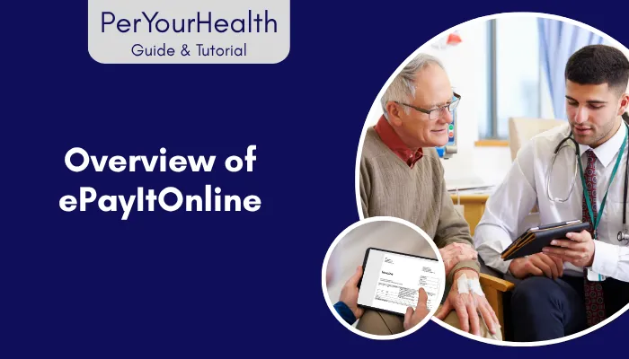 Overview of ePayItOnline